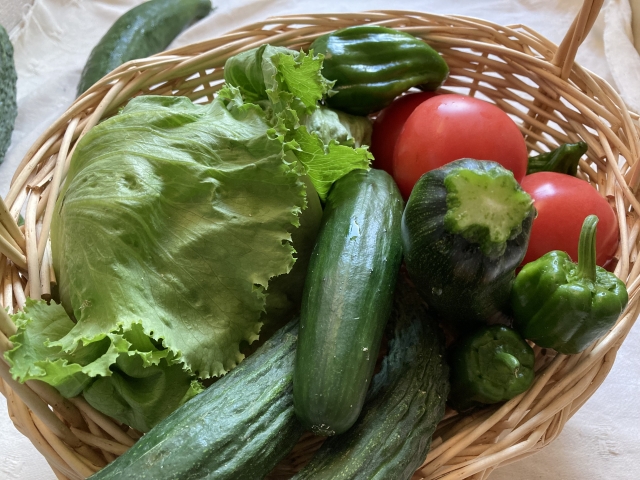 太る野菜があるって本当？ダイエット中に野菜を食べる時の注意点をお伝えします